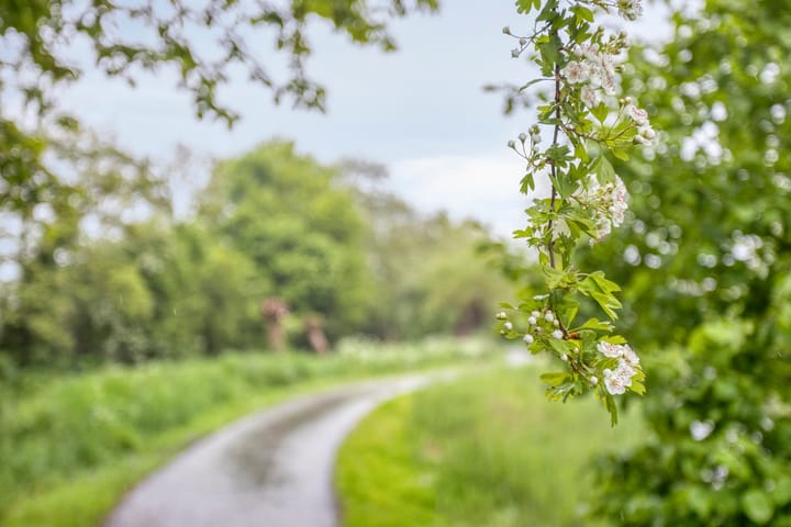 Foto 41 van Elzenhof 9