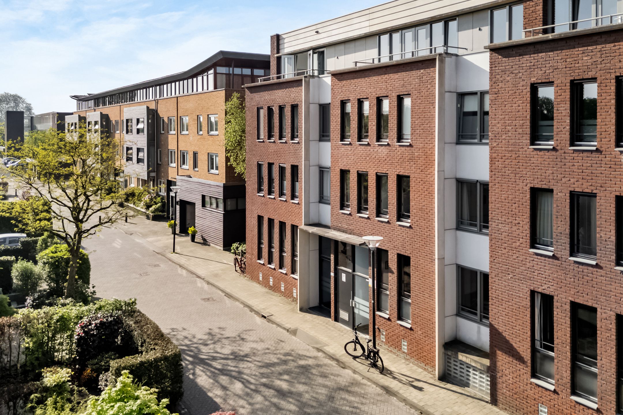 Foto 27 van De Meesterproef 50