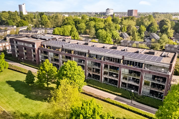 Foto 29 van De Meesterproef 50