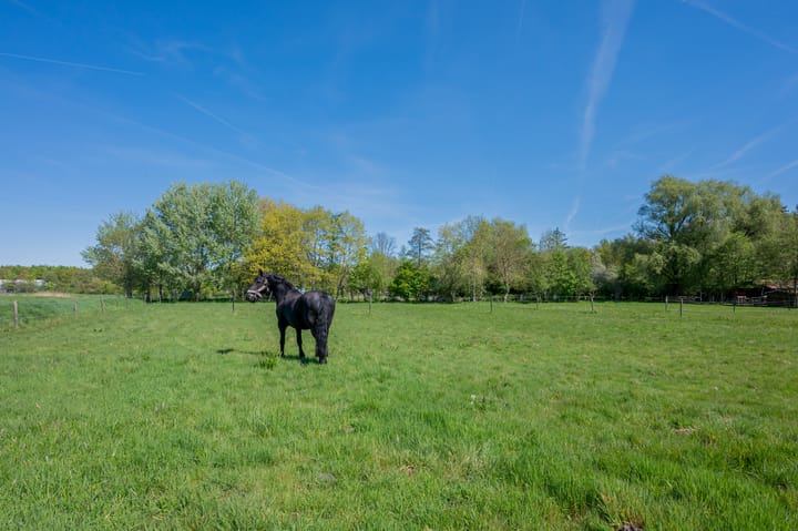 Foto 57 van Kromme-elleboog 30