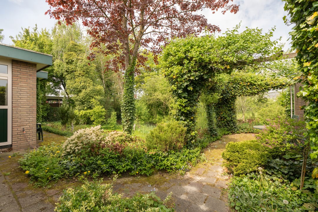 Foto 8 van Hemdijk 12