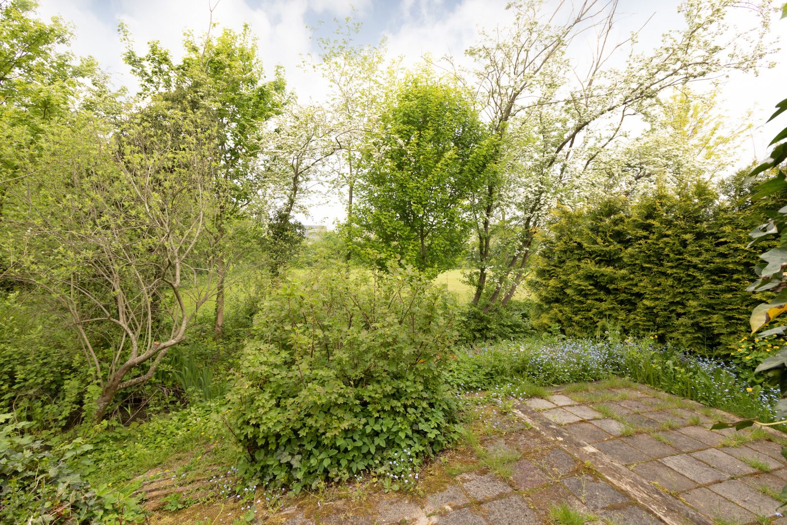 Foto 15 van Hemdijk 12