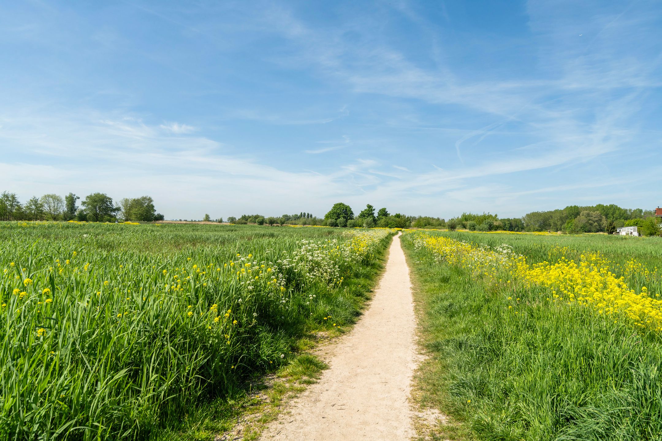 Foto 30 van Straat van Ormoes 63