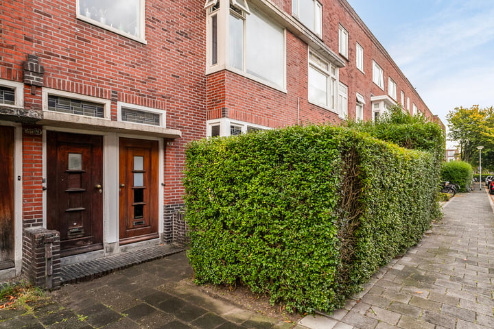 Oppenheimstraat 59