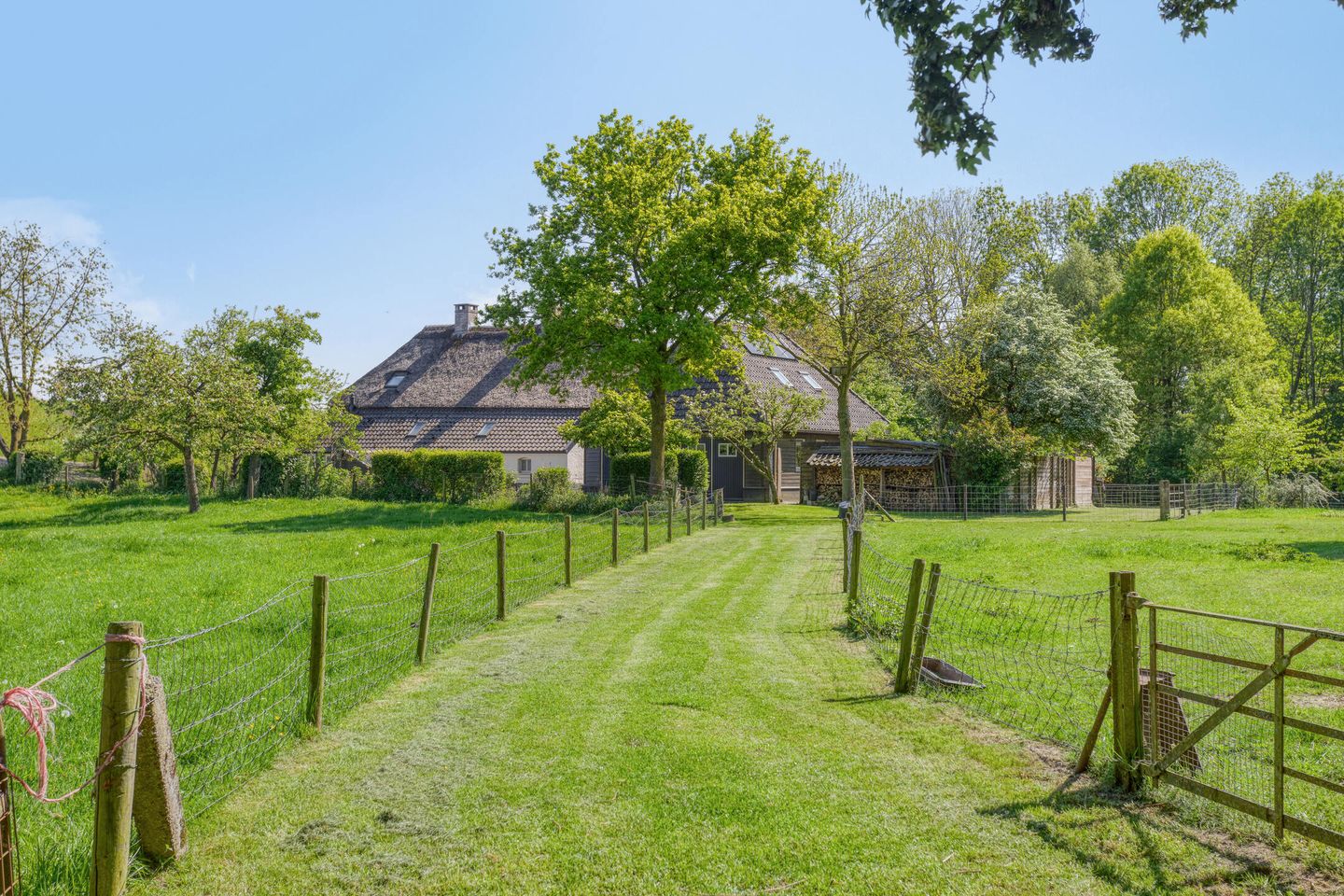 Photo 5 of Maasdijk 5