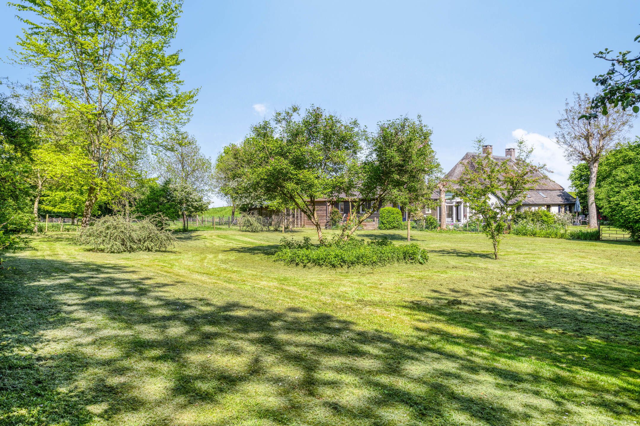 Photo 6 of Maasdijk 5