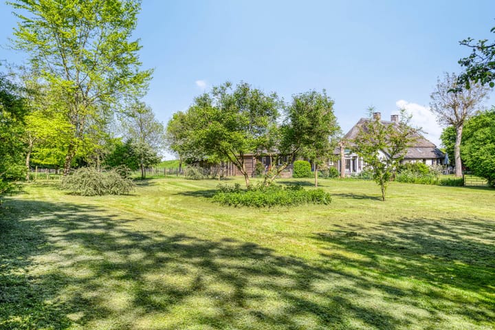 Foto 6 van Maasdijk 5