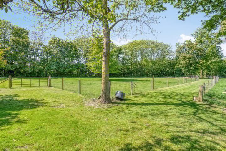 Foto 8 van Maasdijk 5