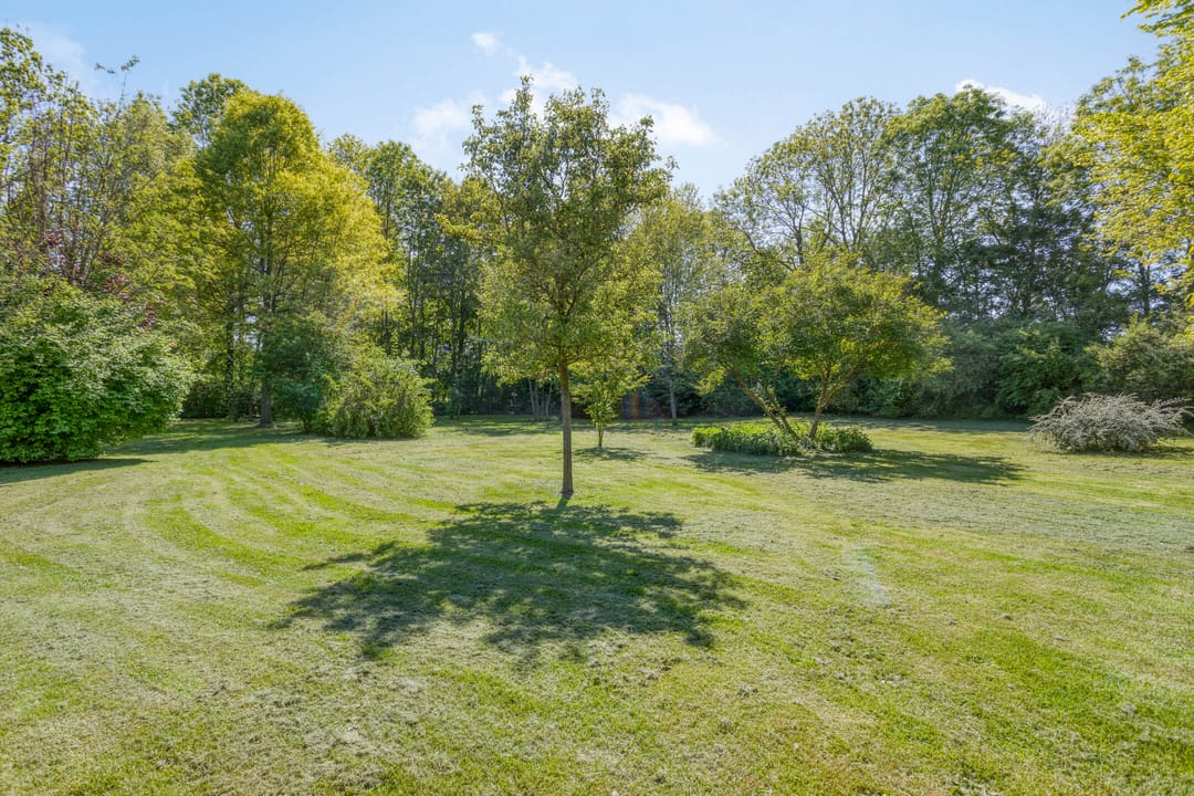 Photo 62 of Maasdijk 5