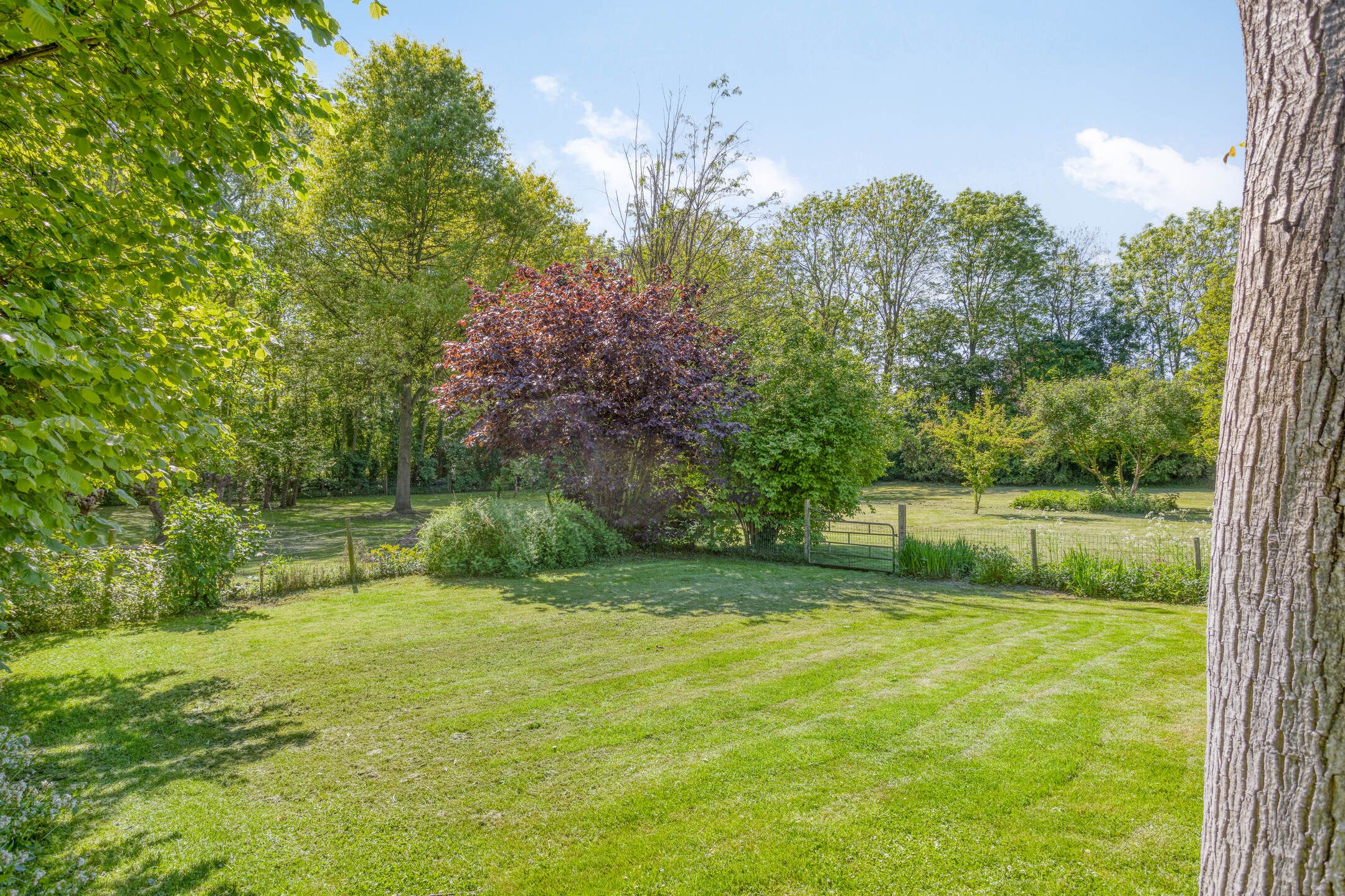 Photo 63 of Maasdijk 5