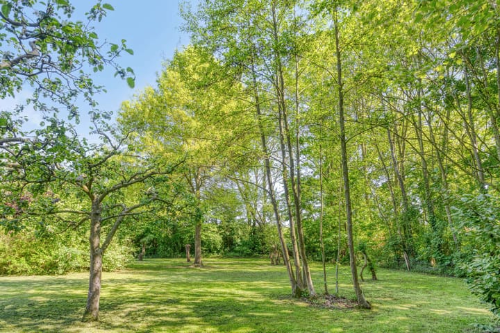 Foto 64 van Maasdijk 5