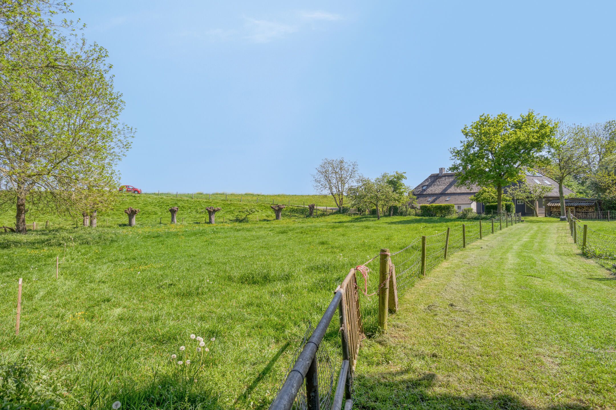 Photo 66 of Maasdijk 5