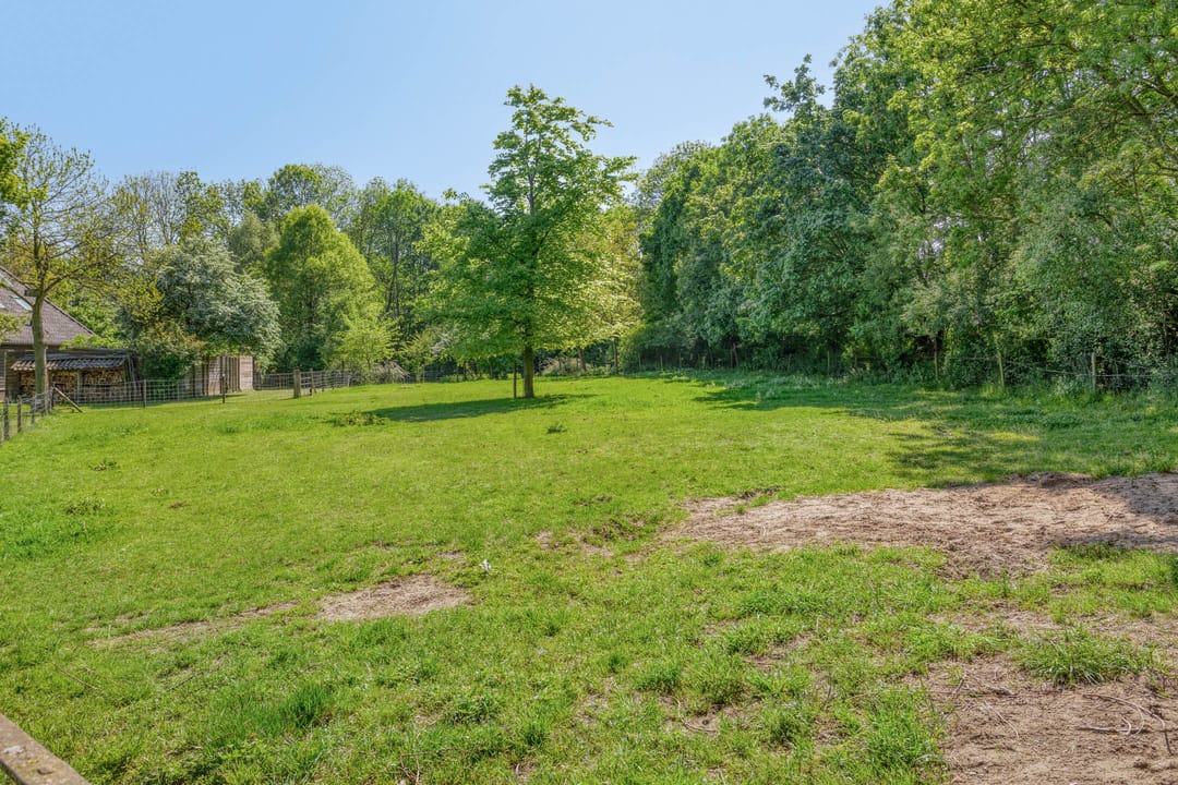 Photo 67 of Maasdijk 5