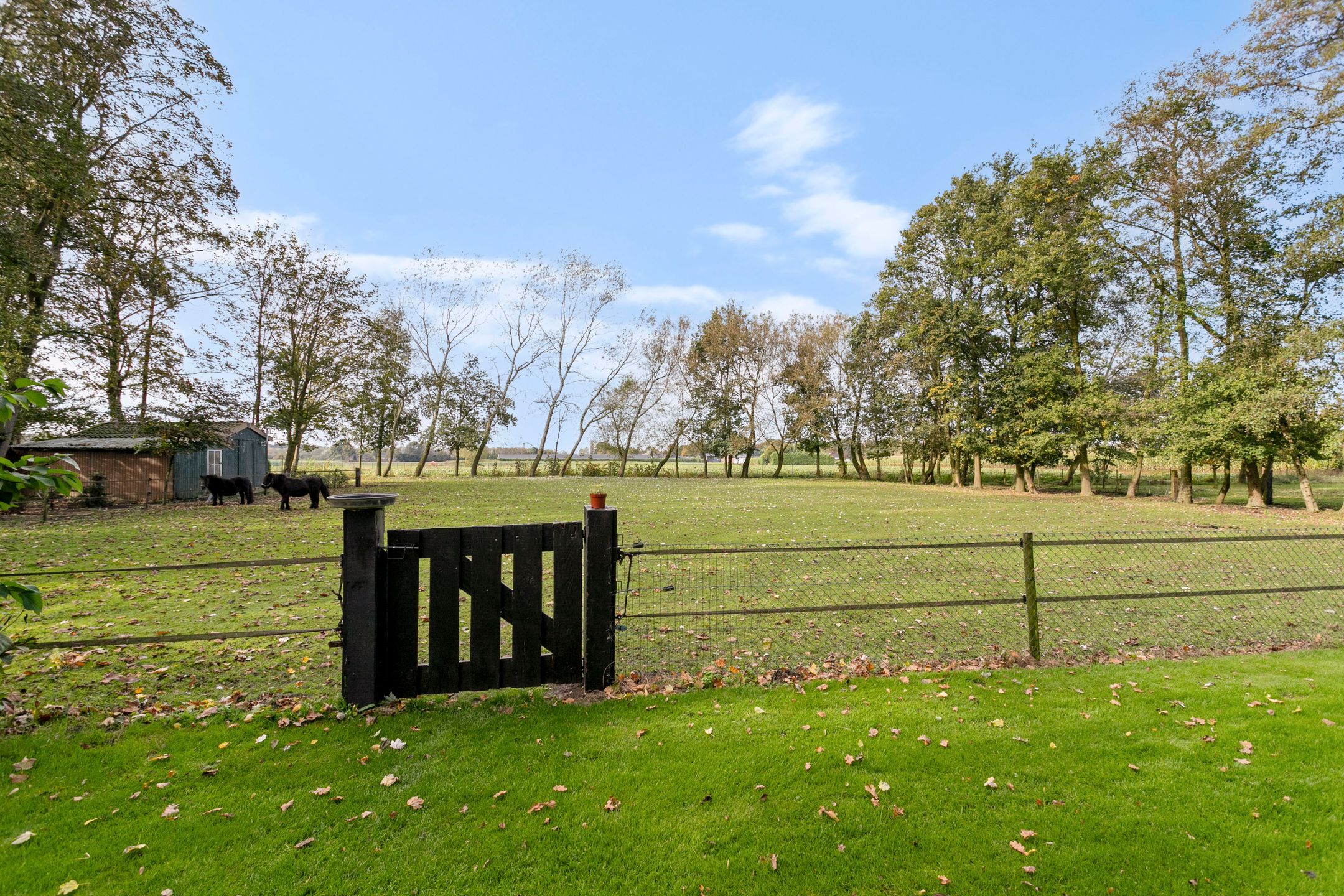 Foto 48 van Strijbeekseweg 52
