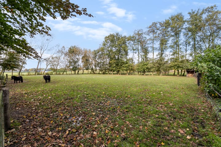 Foto 50 van Strijbeekseweg 52