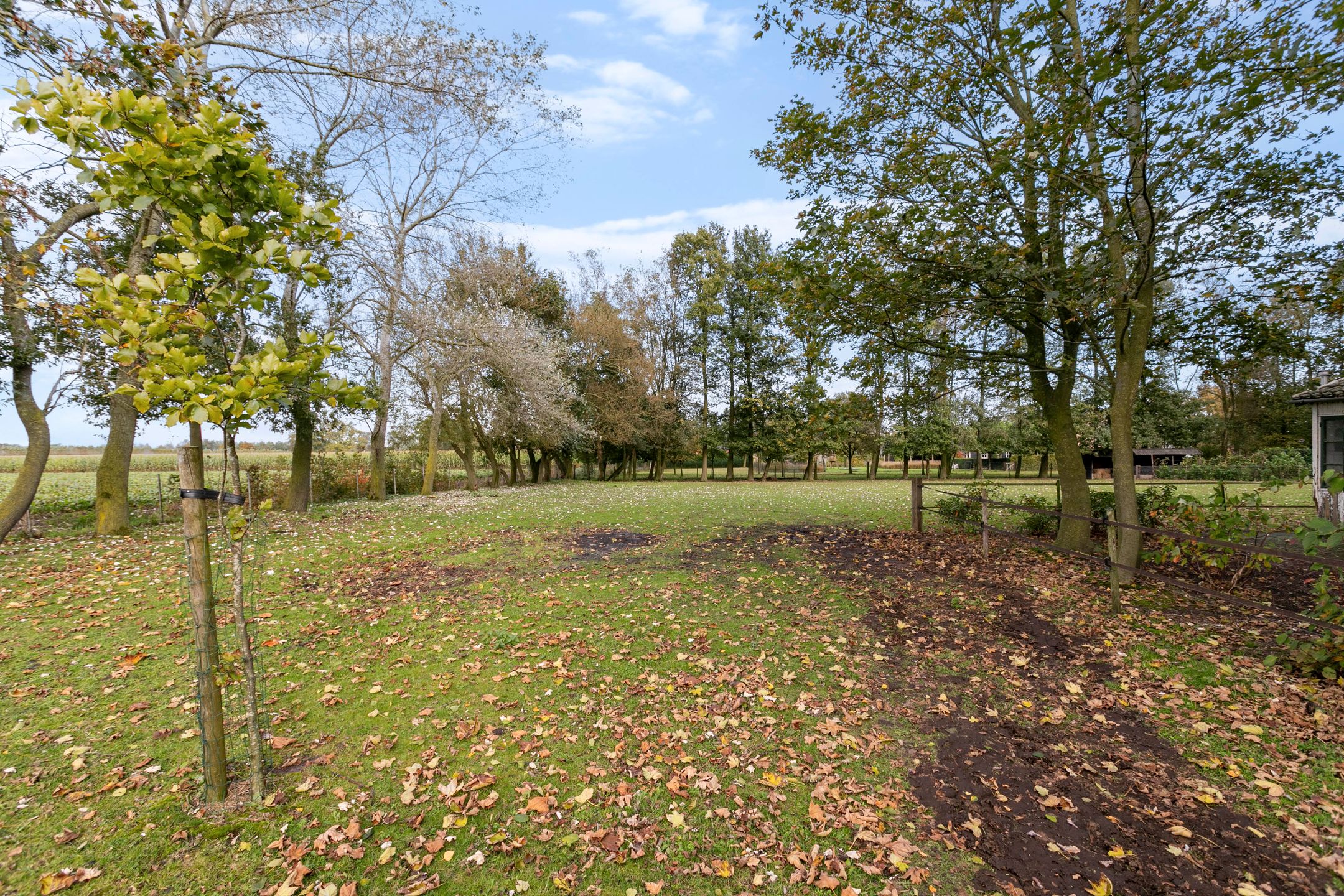 Foto 51 van Strijbeekseweg 52