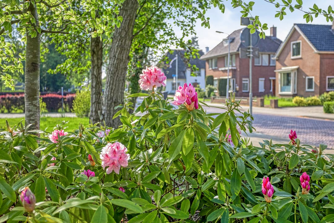 Foto 58 van Jan Gelinde van Blomstraat 30