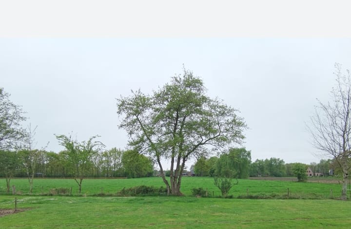 Photo 2 of Puurveenseweg - kavel II