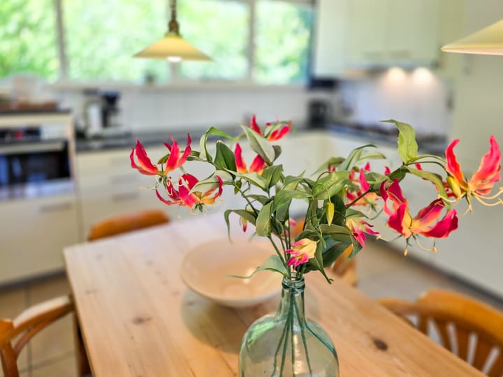 Photo 10 of Duinweg Midsland 2