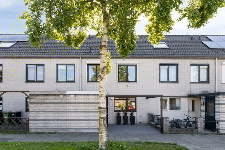 Salland 26 main image