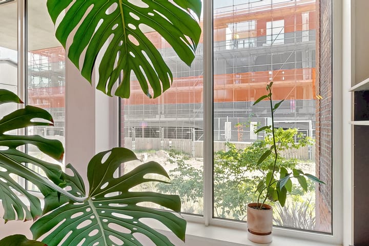 Foto 22 van Memeleiland 93