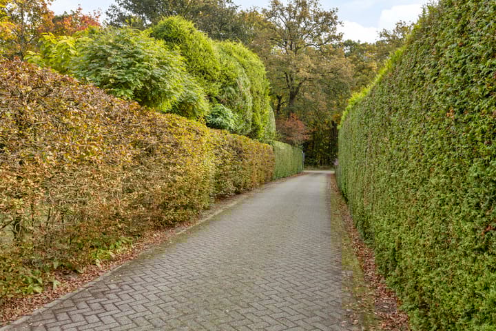 Photo 57 of Kemperbergerweg 707