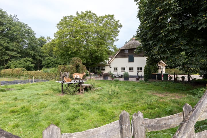 Foto 4 van Spilbroek 1