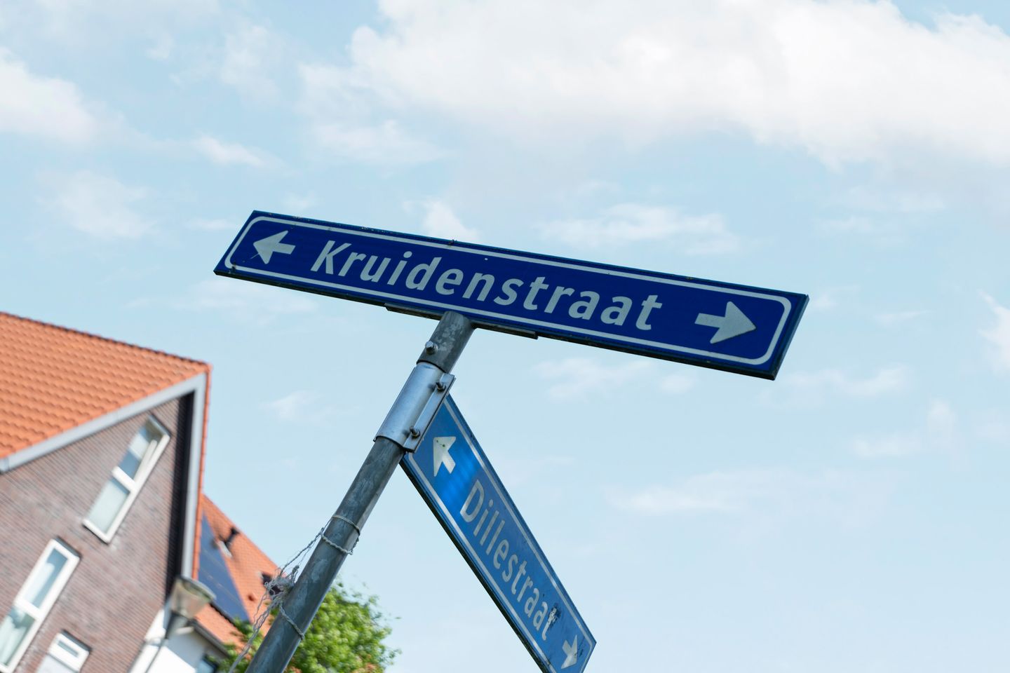 Foto 49 van Kruidenstraat 149
