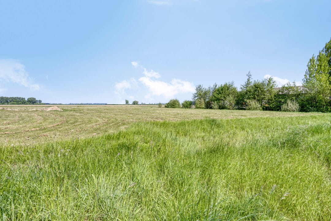 Foto 31 van Willemsweg 75