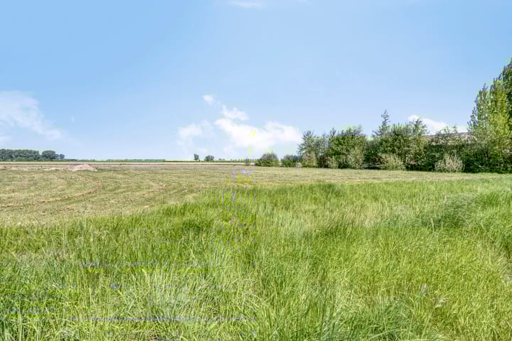 Foto 31 van Willemsweg 75