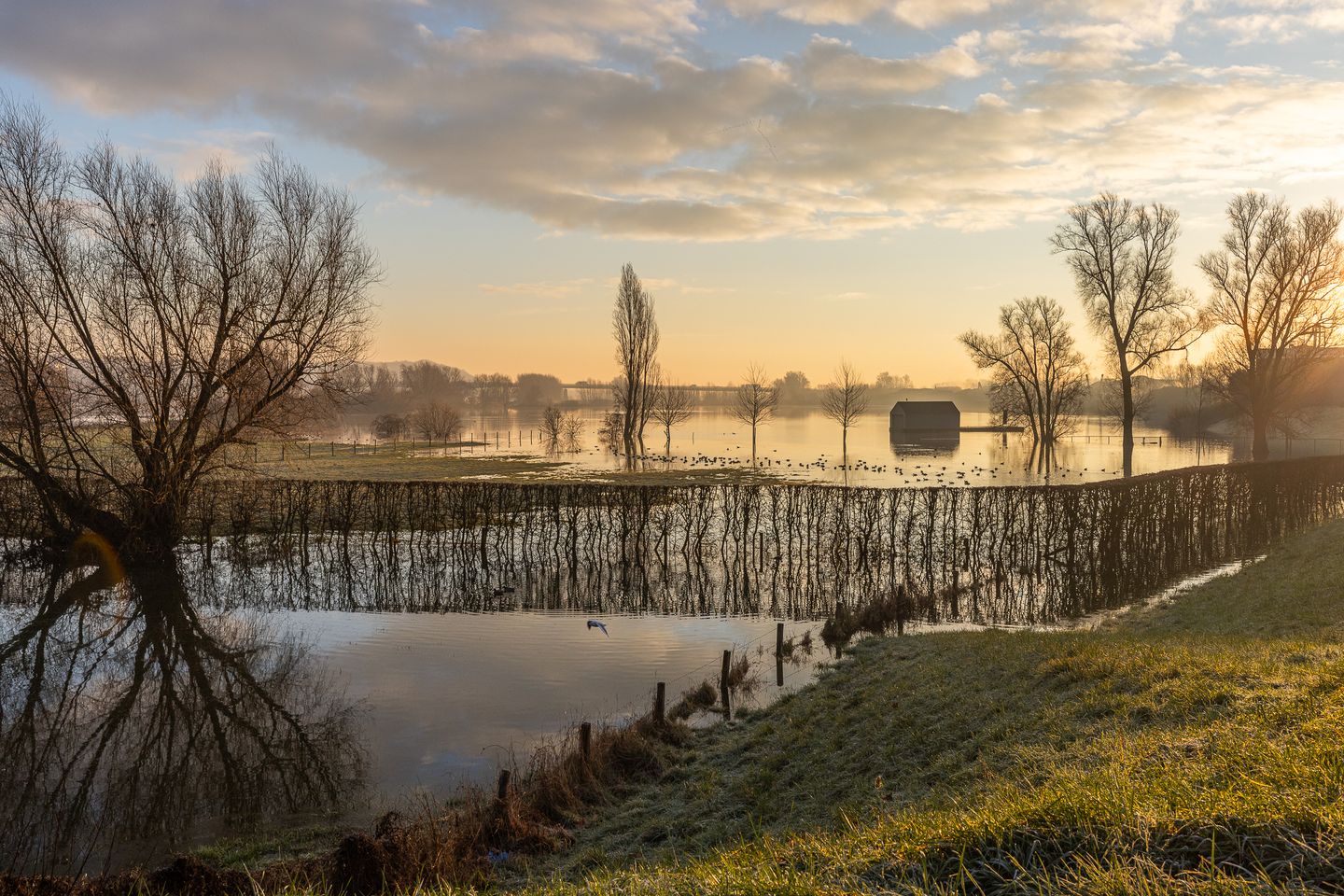 View photo 3 of Rijnbandijk 24-A