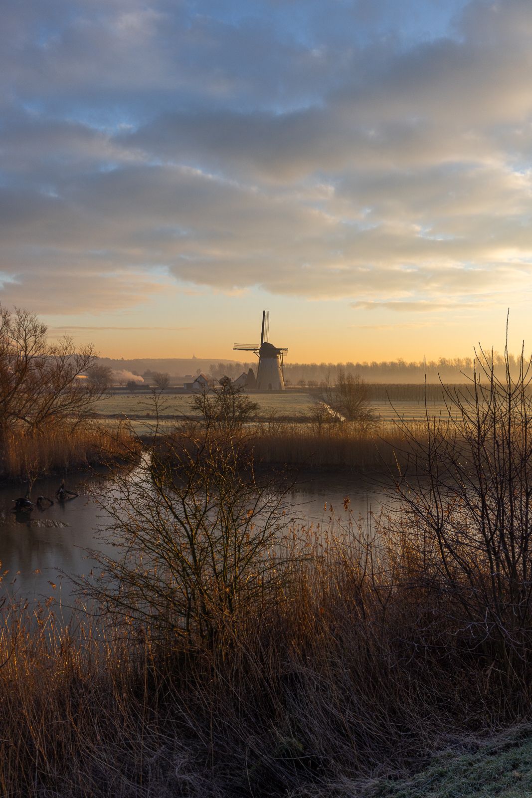View photo 2 of Rijnbandijk 24-A