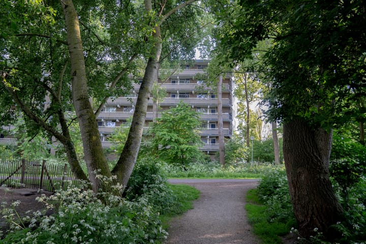 Foto 30 van Dirk de Raetlaan 42