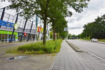 Bekijk foto's