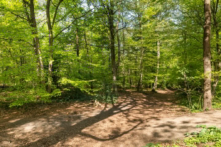 Photo 37 of Prins Willem-Alexanderlaan 84