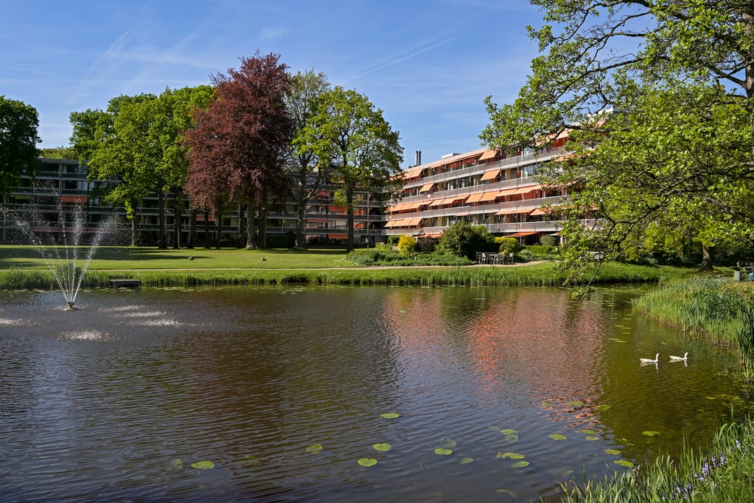 Foto 17 van Stoeplaan 11-F59