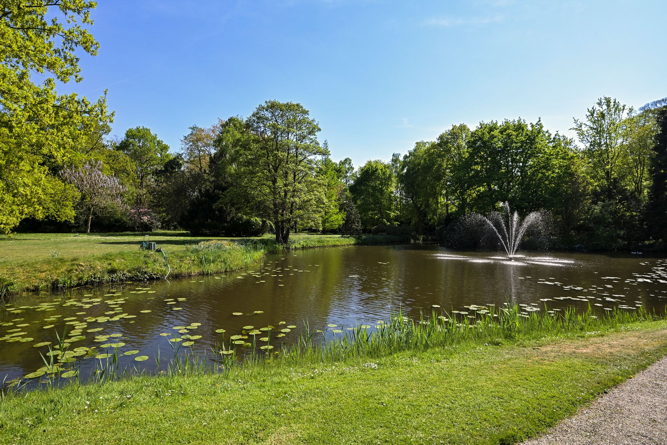 Foto 21 van Stoeplaan 11-F59