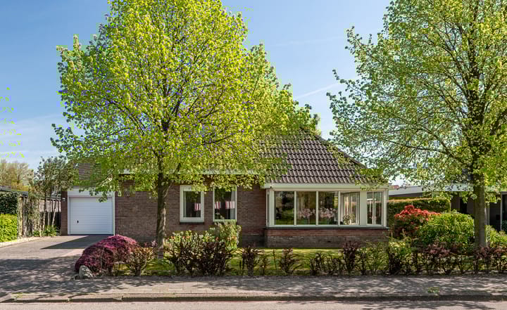 Lege Hearewei 50