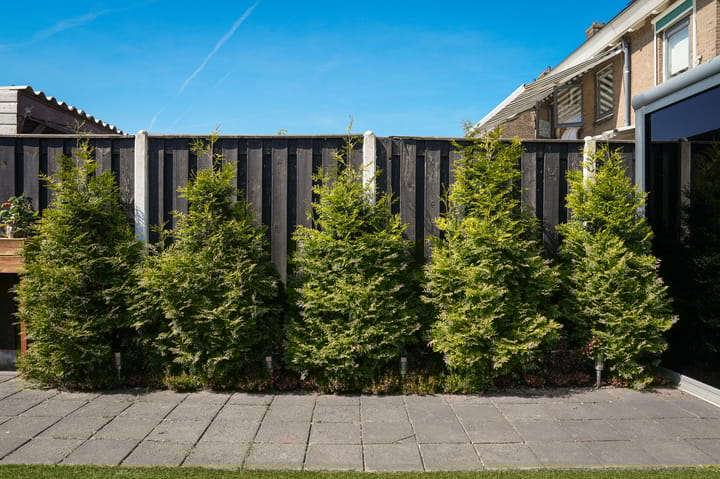 Foto 18 van Azaleastraat 36