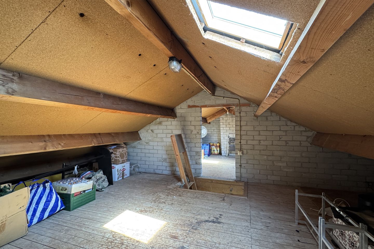 Foto 50 van Groene Slinger 25