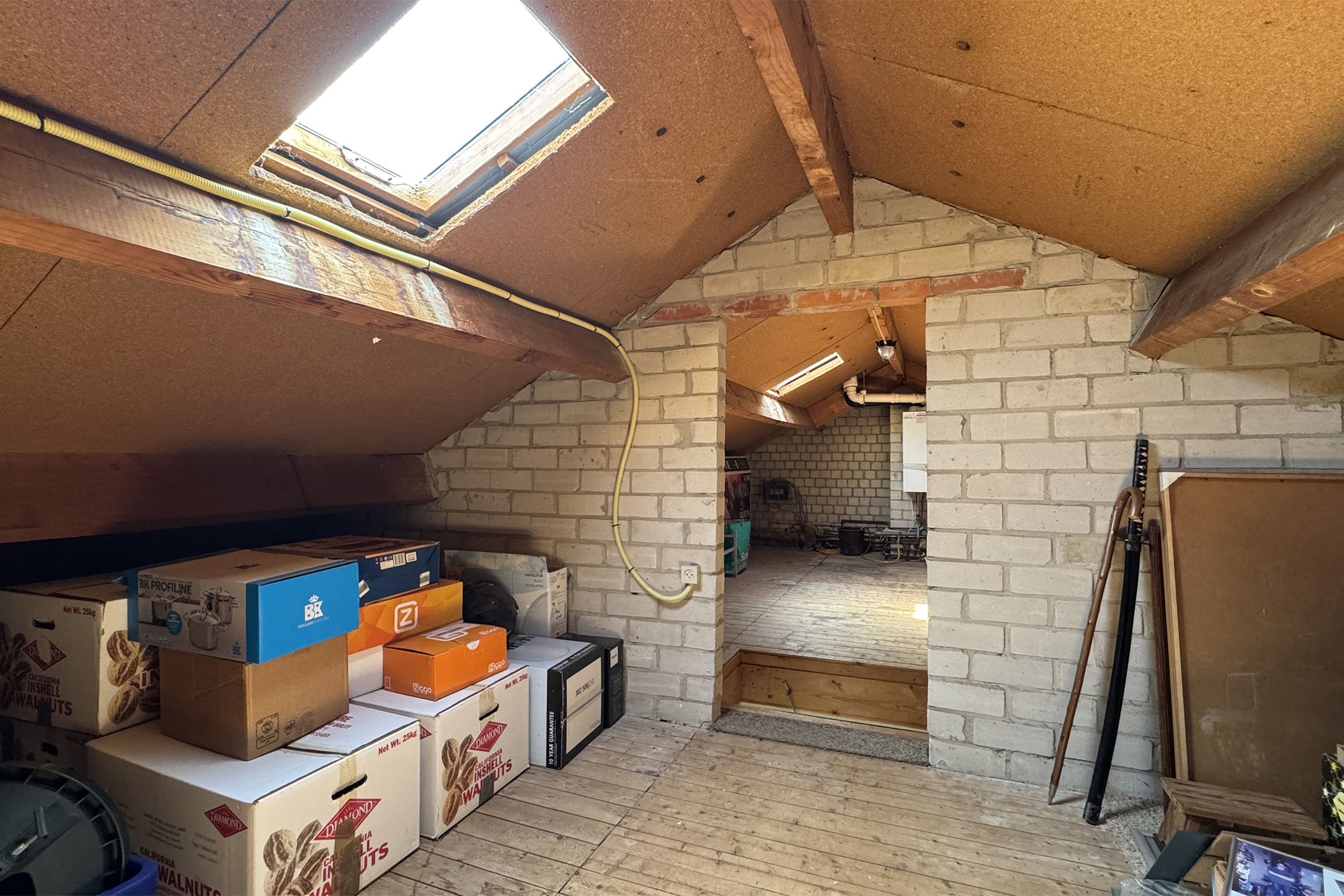 Foto 51 van Groene Slinger 25