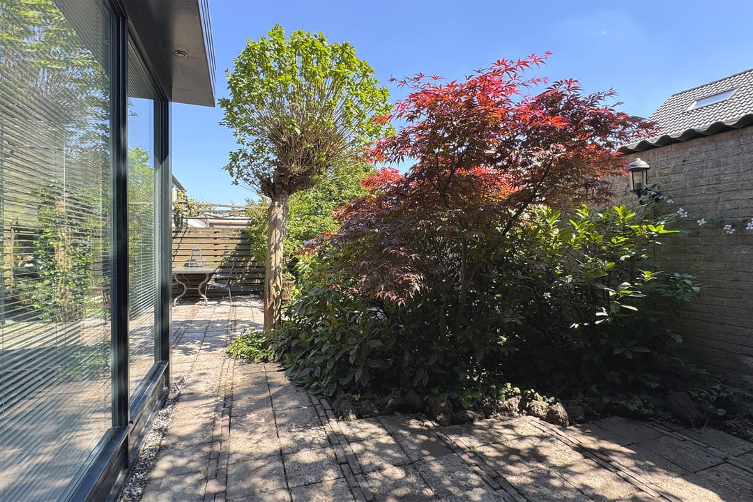 Foto 61 van Groene Slinger 25