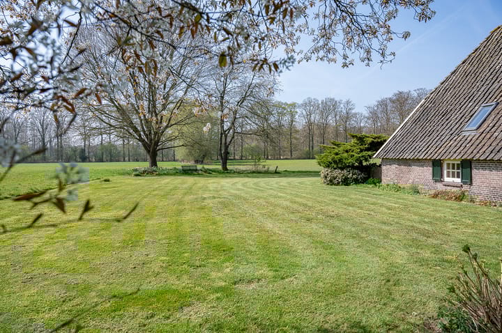 Foto 10 van Wiersserbroekweg 2