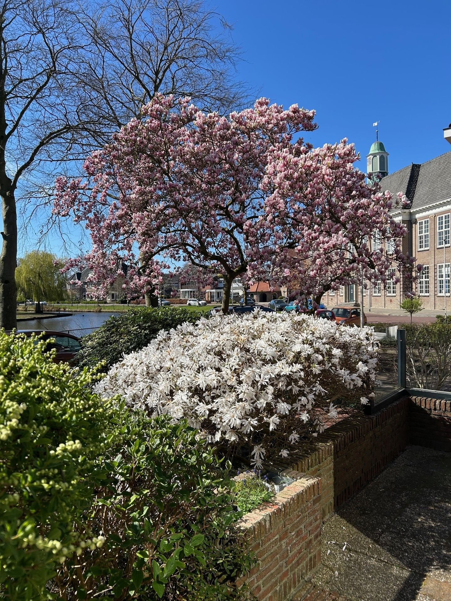 Photo 4 of Hertenkampstraat 9