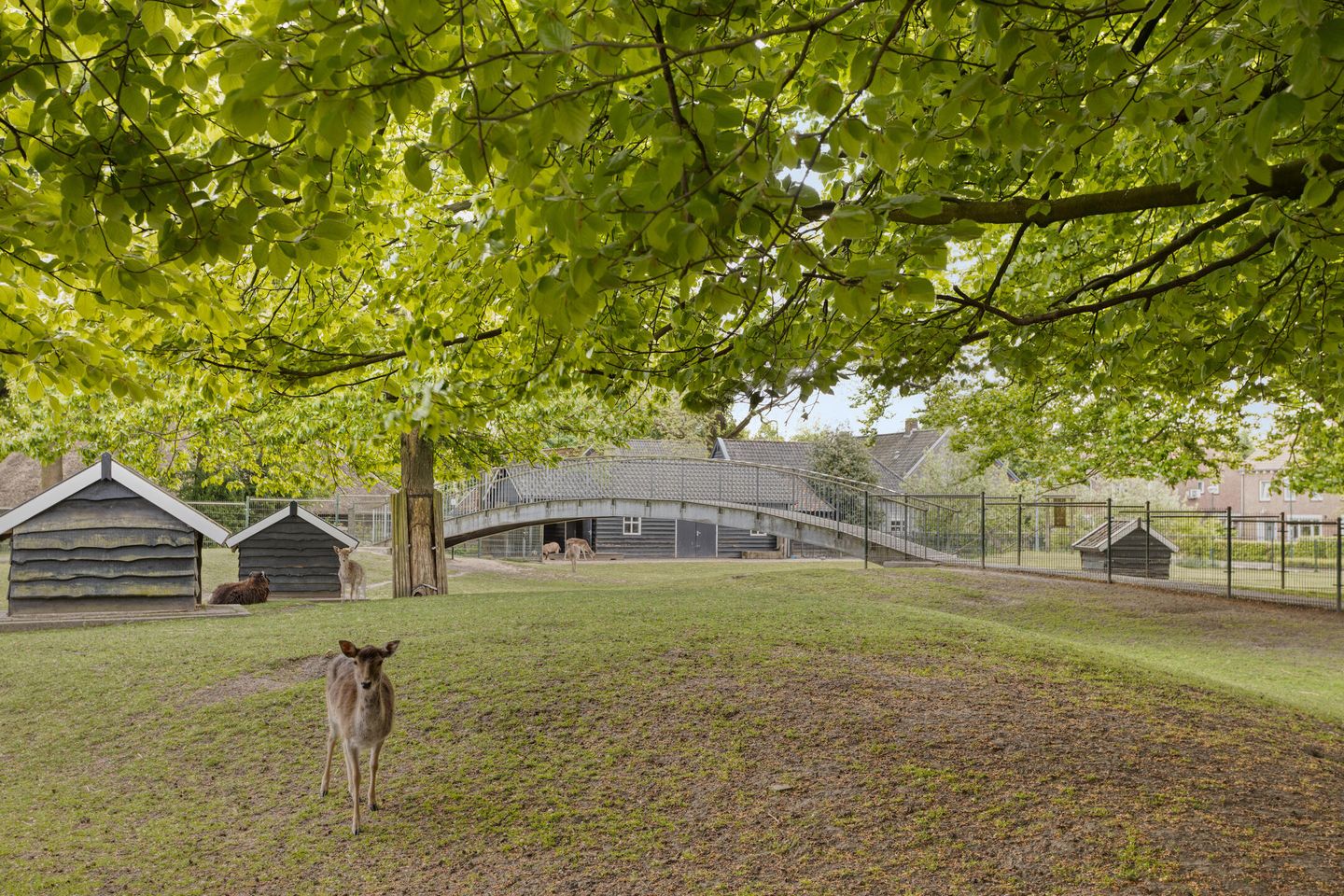 Foto 34 van Pastoor de Beeckstraat 17