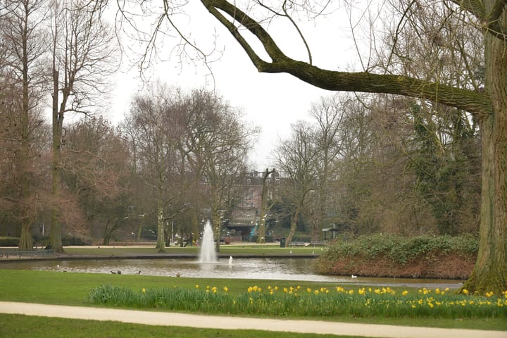 Foto 28 van Van Hallstraat 7-1