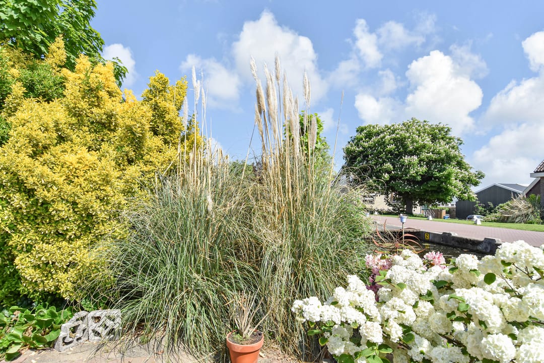 Foto 7 van Stompwijkseweg 57-B