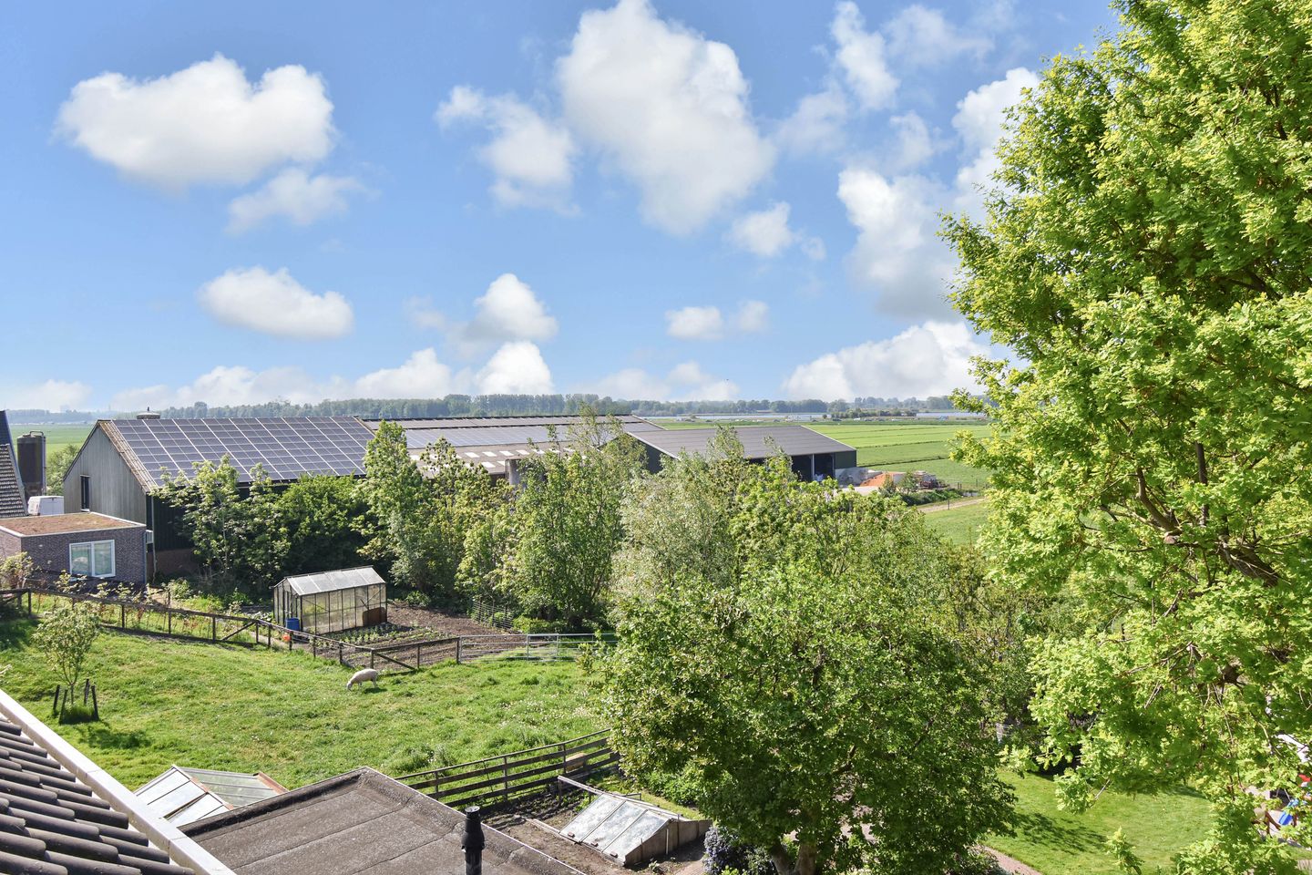 Foto 50 van Stompwijkseweg 57-B