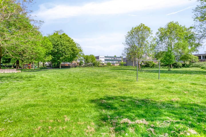 Foto 37 van Moggendries 28