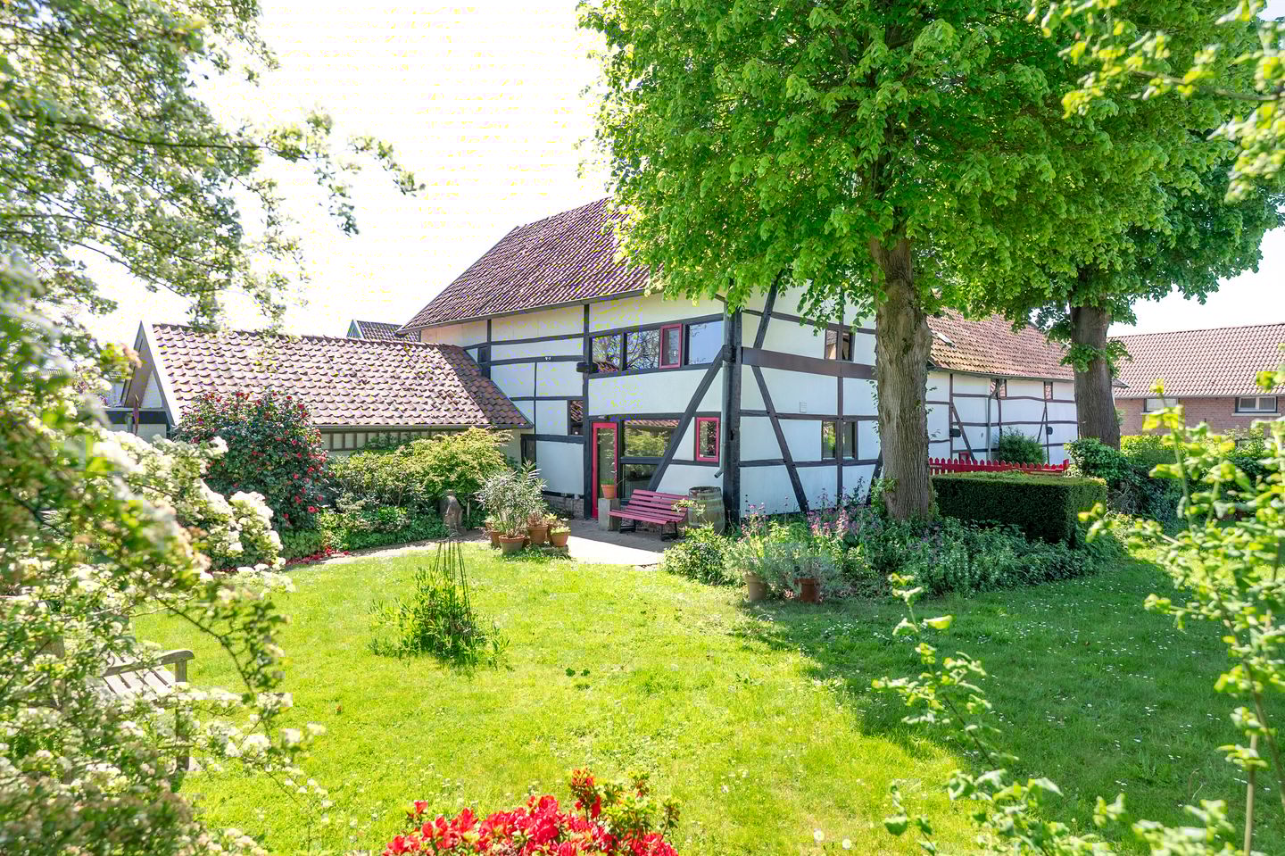 Foto 1 van Grootgenhouterstraat 113